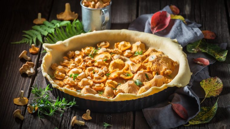 Recette de tarte fine aux champignons des bois
