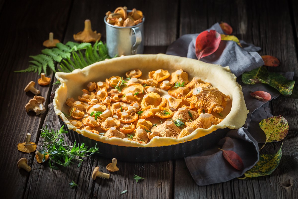 Recette de tarte fine aux champignons des bois