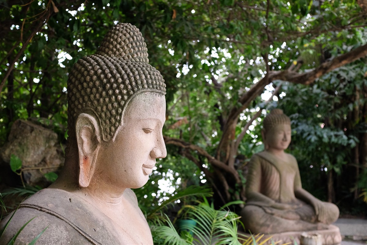 secrets des statues de Bouddha