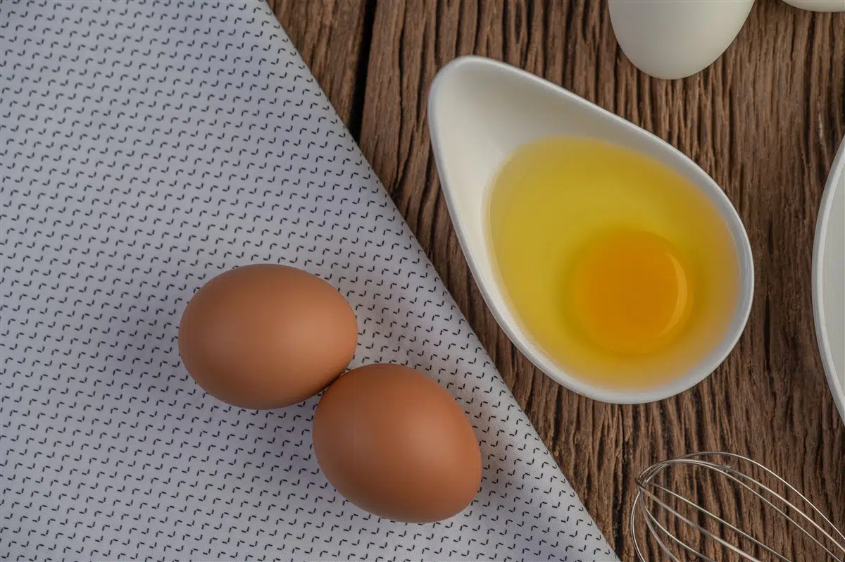 utiliser des oeufs en gastronomie