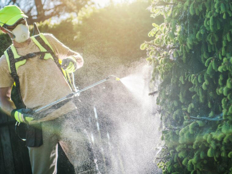 Pesticide Plants Spraying