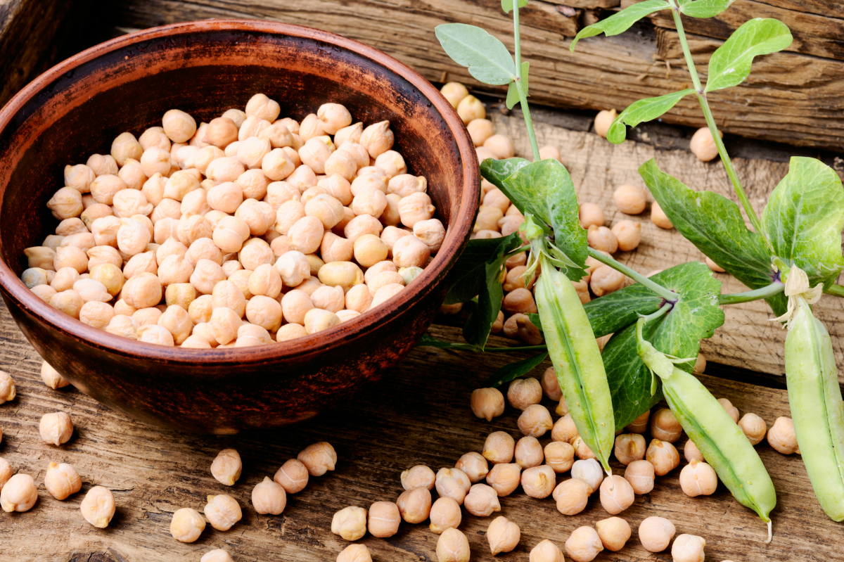 pois chiche pour chien