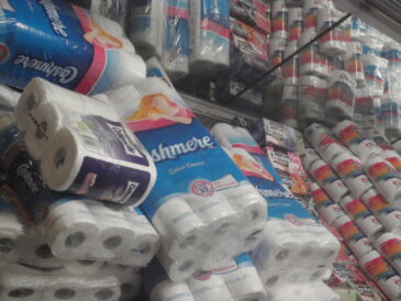 papier toilette en gros